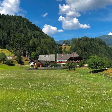 Pension Edlinger Sankt Georgen ob Murau Exterior foto