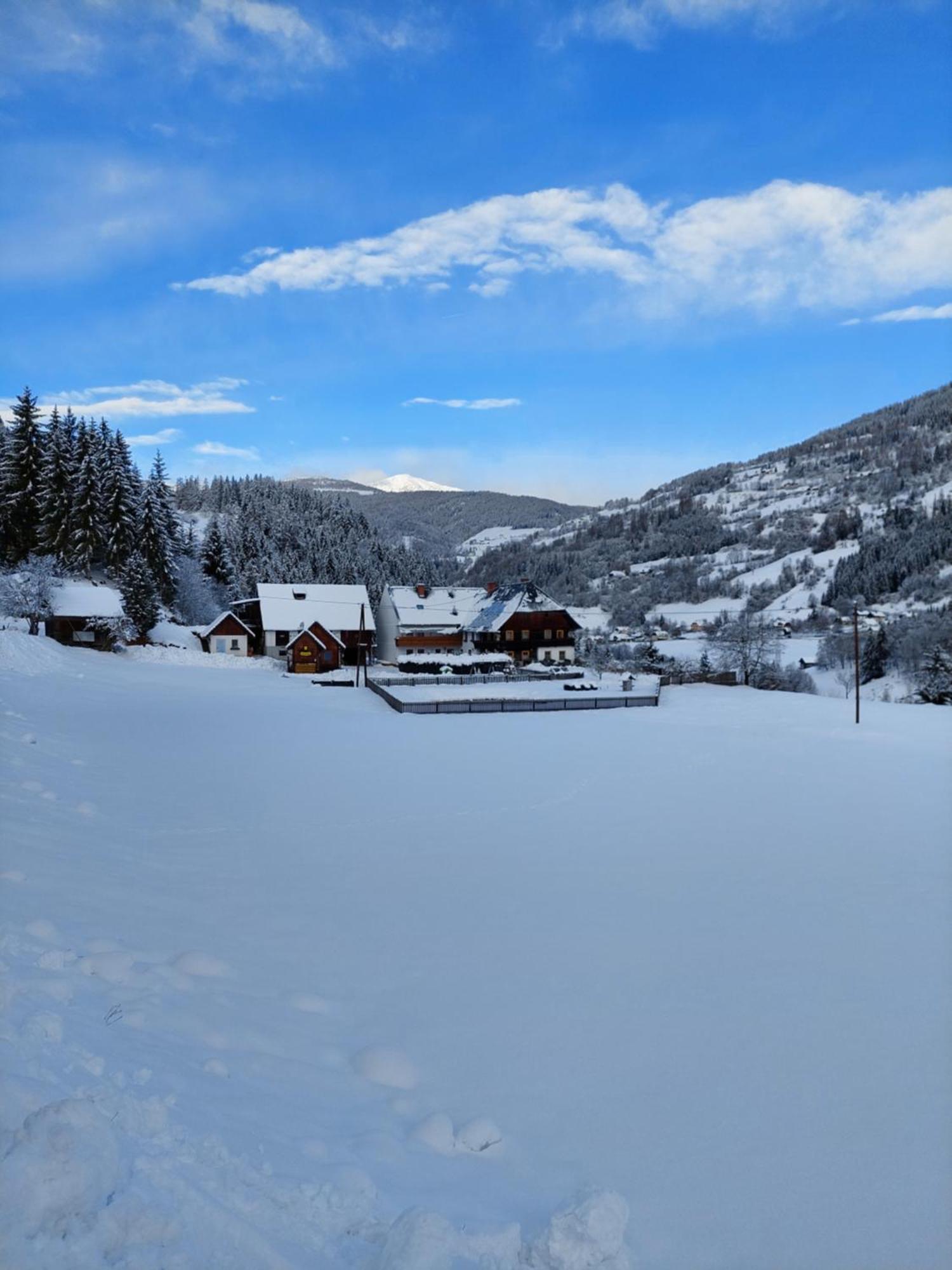 Pension Edlinger Sankt Georgen ob Murau Exterior foto